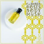 مسك المتسلق